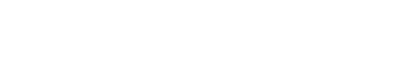 Foto Lerche